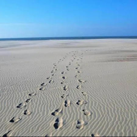 In Near The Beach, Cleaning Included Lägenhet Nieuwpoort